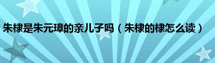 朱棣是朱元璋的亲儿子吗(朱棣的棣怎么读)