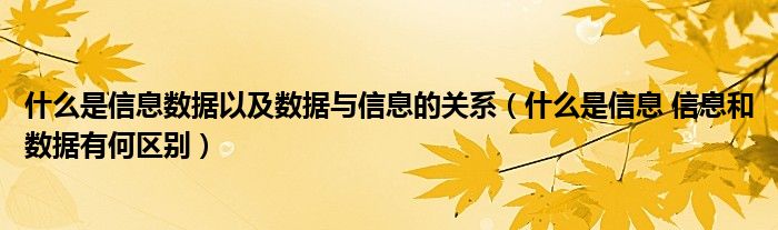 什么是信息数据以及数据与信息的关系(什么是信息 信息和数据有何区别)
