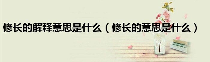 修长的解释意思是什么(修长的意思是什么)