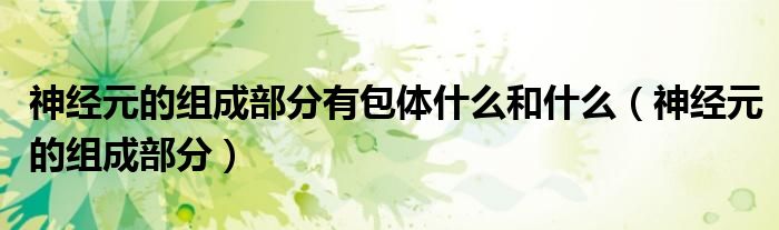 神经元的组成部分有包体什么和什么(神经元的组成部分)