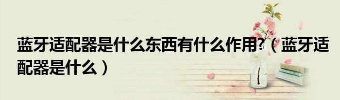 蓝牙适配器是什么东西有什么作用?(蓝牙适配器是什么)