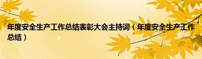 年度安全生产工作总结表彰大会主持词(年度安全生产工作总结)