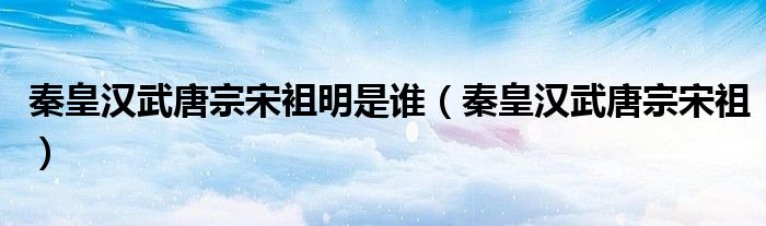 秦皇汉武唐宗宋袓明是谁(秦皇汉武唐宗宋祖)