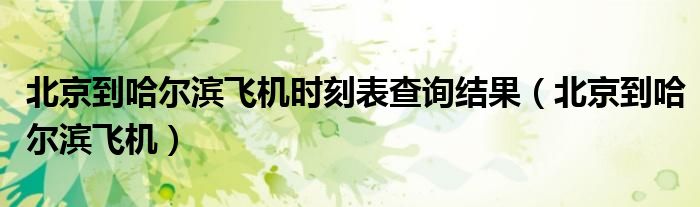北京到哈尔滨飞机时刻表查询结果(北京到哈尔滨飞机)