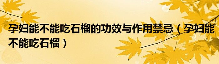 孕妇能不能吃石榴的功效与作用禁忌(孕妇能不能吃石榴)