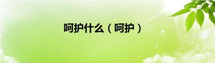呵护什么（呵护）
