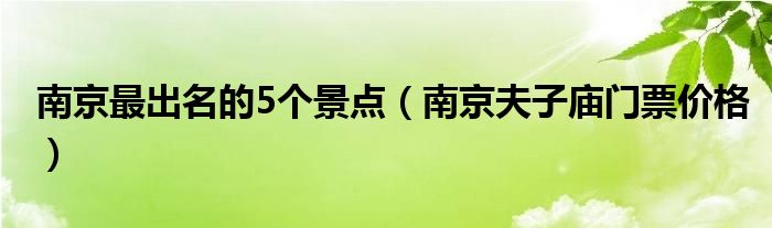 南京最出名的5个景点(南京夫子庙门票价格)