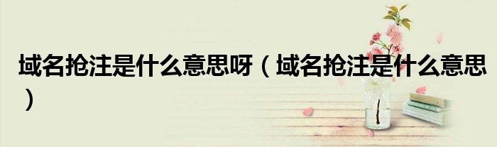 域名抢注是什么意思呀(域名抢注是什么意思)