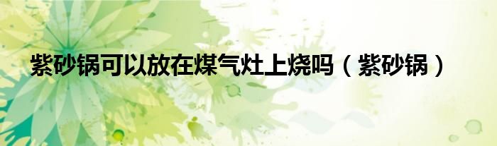 紫砂锅可以放在煤气灶上烧吗(紫砂锅)
