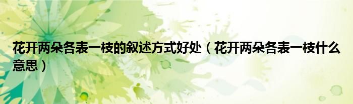 花开两朵各表一枝的叙述方式好处(花开两朵各表一枝什么意思)