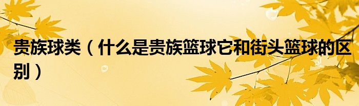 贵族球类(什么是贵族篮球它和街头篮球的区别)