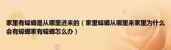 家里有蟑螂是从哪里进来的(家里蟑螂从哪里来家里为什么会有蟑螂家有蟑螂怎么办)