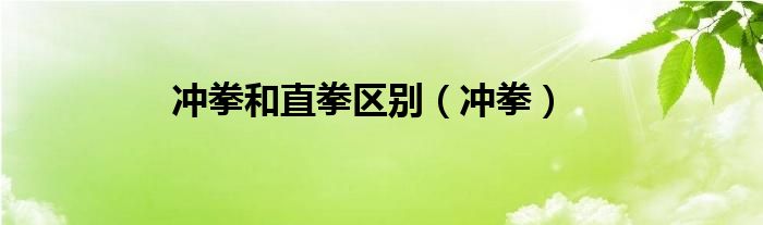 冲拳和直拳区别（冲拳）