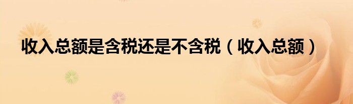 收入总额是含税还是不含税(收入总额)