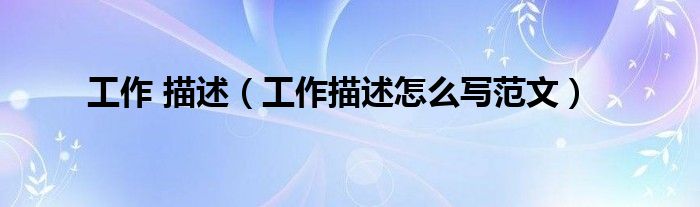 工作 描述(工作描述怎么写范文)