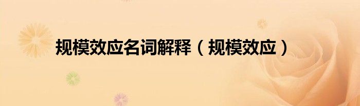 规模效应名词解释(规模效应)