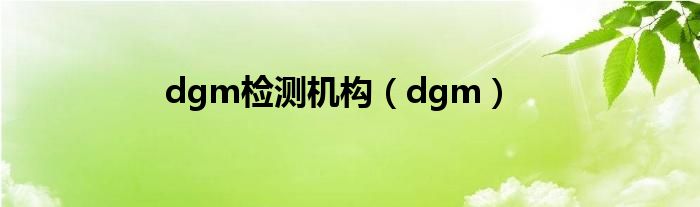 dgm检测机构(dgm)