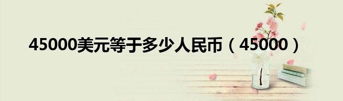 45000美元等于多少人民币(45000)