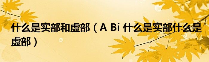 什么是实部和虚部(A Bi 什么是实部什么是虚部)