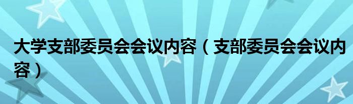 大学支部委员会会议内容(支部委员会会议内容)