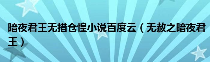 暗夜君王无措仓惶小说百度云(无赦之暗夜君王)