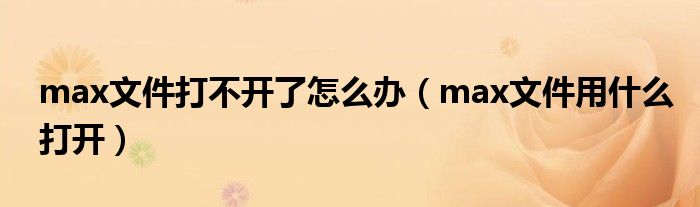 max文件打不开了怎么办(max文件用什么打开)
