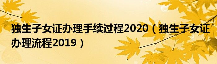 独生子女证办理手续过程2020(独生子女证办理流程2019)
