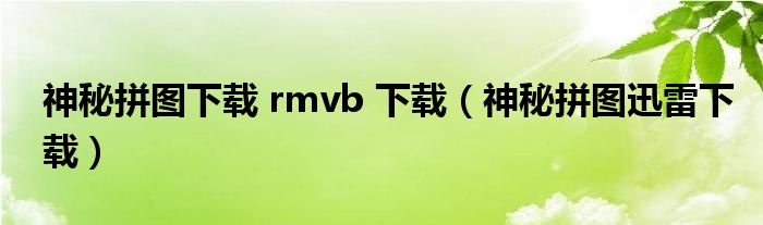 神秘拼图下载 rmvb 下载(神秘拼图迅雷下载)