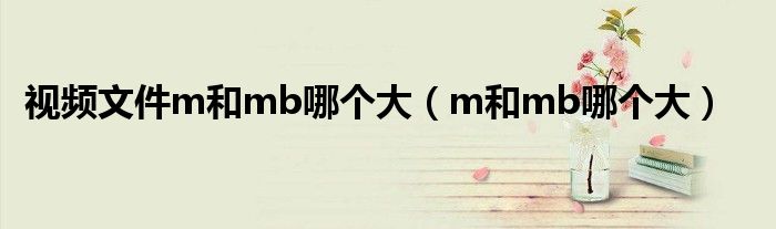 视频文件m和mb哪个大(m和mb哪个大)