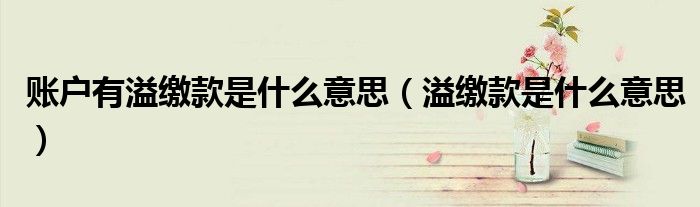 账户有溢缴款是什么意思(溢缴款是什么意思)