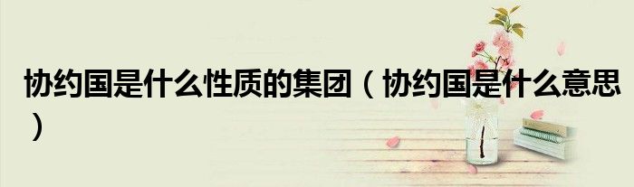 协约国是什么性质的集团(协约国是什么意思)