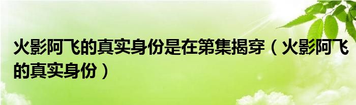 火影阿飞的真实身份是在第集揭穿(火影阿飞的真实身份)