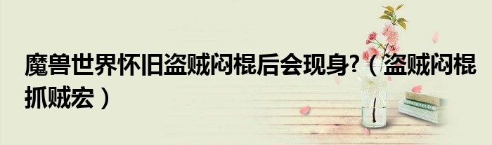 魔兽世界怀旧盗贼闷棍后会现身?(盗贼闷棍抓贼宏)