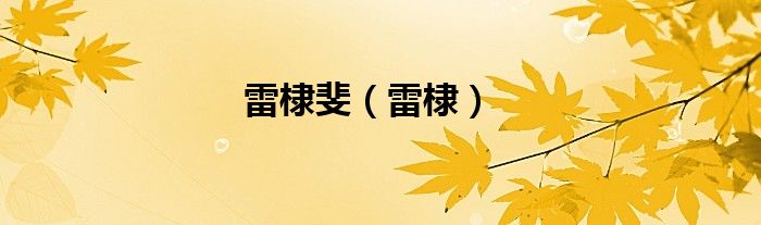 雷棣斐（雷棣）