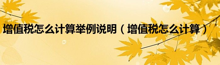增值税怎么计算举例说明(增值税怎么计算)