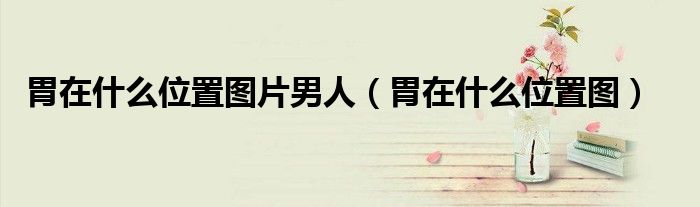 胃在什么位置图片男人(胃在什么位置图)