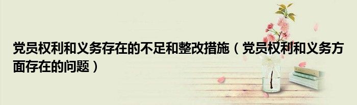 党员权利和义务存在的不足和整改措施(党员权利和义务方面存在的问题)