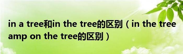 in a tree和in the tree的区别(in the tree amp on the tree的区别)