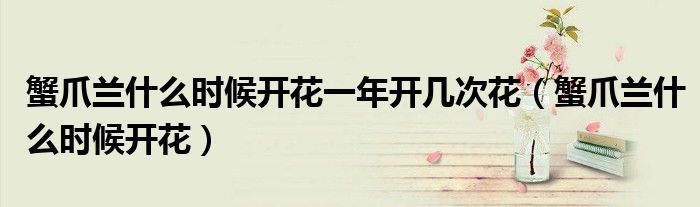 蟹爪兰什么时候开花一年开几次花(蟹爪兰什么时候开花)