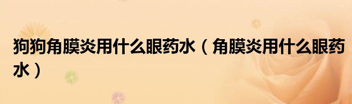 狗狗角膜炎用什么眼药水(角膜炎用什么眼药水)