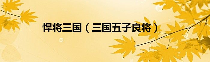 悍将三国（三国五子良将）