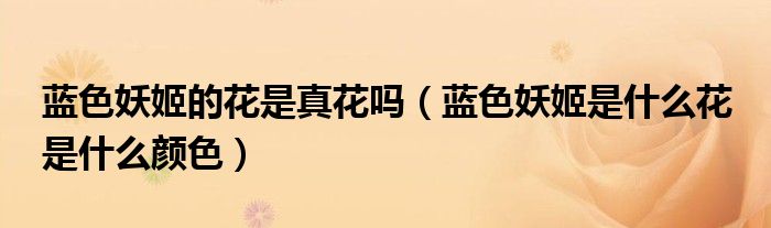 蓝色妖姬的花是真花吗(蓝色妖姬是什么花 是什么颜色)