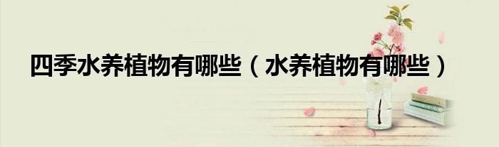 四季水养植物有哪些(水养植物有哪些)