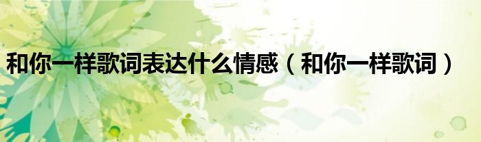 和你一样歌词表达什么情感(和你一样歌词)
