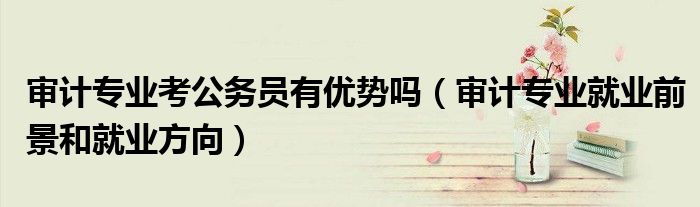 审计专业考公务员有优势吗(审计专业就业前景和就业方向)
