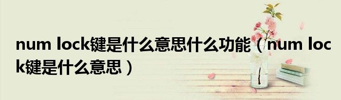 num lock键是什么意思什么功能(num lock键是什么意思)