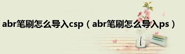 abr笔刷怎么导入csp(abr笔刷怎么导入ps)