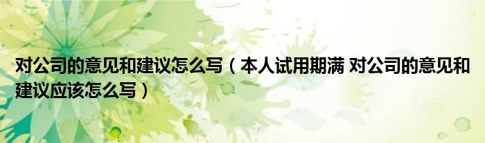 对公司的意见和建议怎么写(本人试用期满 对公司的意见和建议应该怎么写)