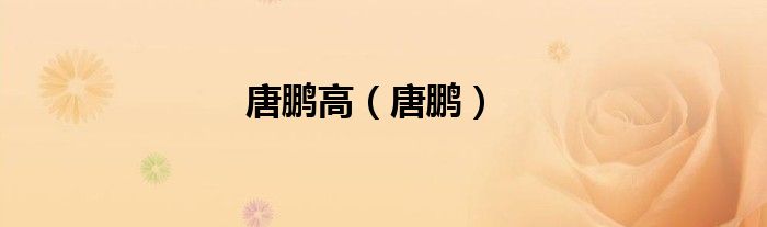 唐鹏高(唐鹏)