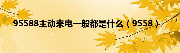 95588主动来电一般都是什么(9558)
